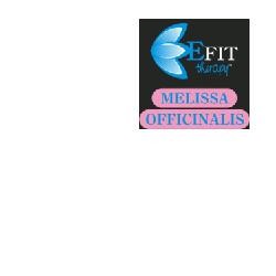 Efit Melissa Officinale Estratto Fluido 30 Ml