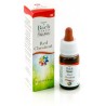 Red Chestnut Guna Gocce 10 Ml