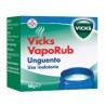 Procter & Gamble Vicks Vaporub 50 g
