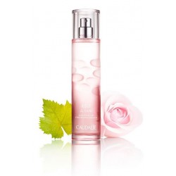 Caudalie Eau Fraiche Rose de Vigne 50 ml Acqua Profumata alla Rosa di Vite