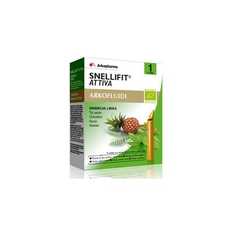 SNELLIFIT SINERGIA ATTIVA 10 FLACONCINI MONODOSE 15 ML