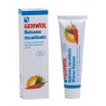 Dual Sanitaly Gehwol Balsamo Riscaldante 75ml