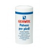 Dual Sanitaly Gehwol Polvere Per Piedi 100 G